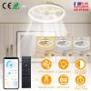 19.7in Ceiling Fan with 60W Light Round Pendant Fan Lamp LED Ceiling Fan with 6-Fan Speed 3000-6500W Light Color Adjustment Remote Control Timer APP C